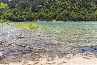 Sandy beach on a tropical island in Malaysian marine park