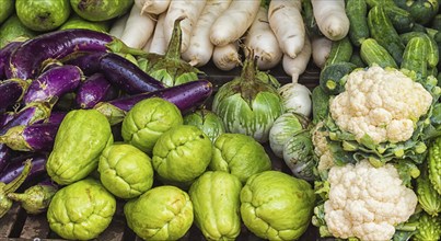 Various fresh fruits and vegetables on the market in Vietnam