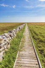 Empty wooden walking path on a grass heath to the horizon a sunny summer day, Öland, Sweden, Europe