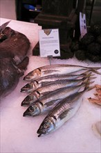 Mackerel fish displayed on ice Mercado San Miguel market, Madrid city centre, Spain, Europe