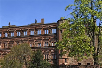 Ottheinrich's building of the Heidelberg castle ruins, destroyed in 1689, castle courtyard,