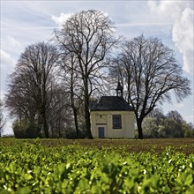 Castle chapel of Haus Horr, Grevenbroich, Rhine district of Neuss, Lower Rhine, North