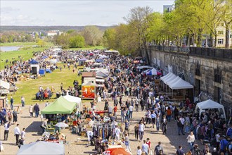 In the warmer months of the year there are several flea markets in Dresden, here is the largest one