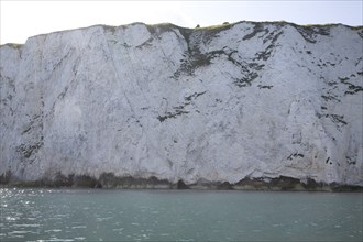 Ballard Fault, Ballard Point headland, near Old Harry Rocks, Swanage, Dorset, England, United