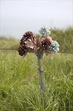 Flowers mark a suicide location on Beachy Head cliffs, Sussex, England, United Kingdom, Europe