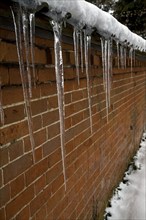 Icicles hanging down against red brick wall