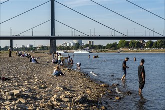 Rhine near Düsseldorf, extremely low water, Rhine level at 81 cm, tendency falling, after a long