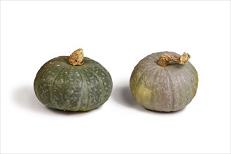 Comparison of green Japanese Kabocha squash and blue Kuri squash on white background