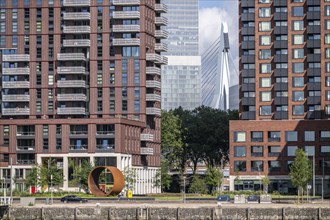 New residential tower blocks in the Katendrecht neighbourhood, Feijenoord district in Rotterdam, on