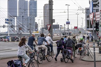 Cyclist on cycle path in front of the Erasmus Bridge over the Nieuwe Maas, skyline of skyscrapers