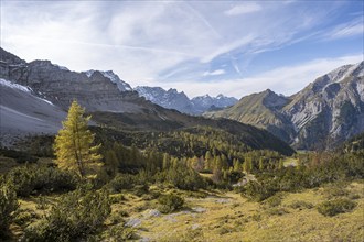 Mountain panorama with steep rocky peaks, yellow-coloured larches in autumn, view of Laliderspitze,