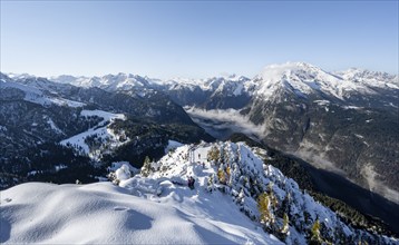 Snow-covered summit of the Jenner with viewing platform in autumn, view of the sea of clouds and