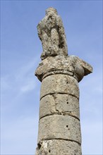 Karakus tumulus, Eagle column, Adiyaman province, Turkey, Asia