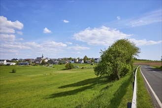 Landscape with meadows, country road L106 and tree in blue sky with cumulus clouds and the long