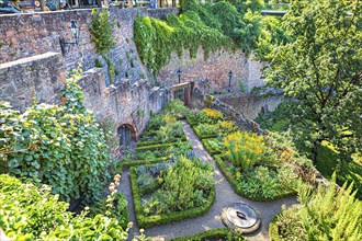 Herb garden at Johannisburg Castle in Aschaffenburg, Bavaria, Germany, Europe