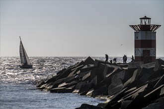 Sailing boat leaving the harbour of Scheveningen, lighthouse at the harbour entrance, Netherlands