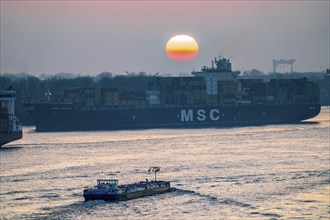 Evening shipping traffic on the Elbe, near Övelgönne, container freighter MSC Soraya arrives at