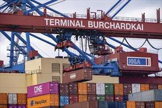 HMM Nuri container freighter, at HHLA Container Terminal Burchardkai, in Waltershofer Hafen, being