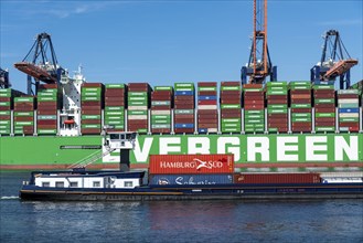 Europoort, Port of Rotterdam, Evergreen Reederei Container ship Ever Ace, currently the third