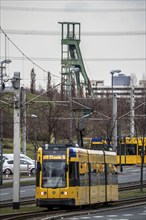 Ruhrbahn tram, line 109, on Berthold-Beitz-Boulevard, behind the pithead of the former Amalie