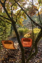 Model gardens in Grugapark, autumn, horticultural design of different gardening styles Essen, North