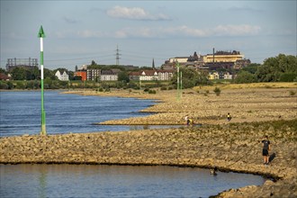 Low water on the Rhine at Duisburg-Homberg, view of Duisburg-Laar, houses on Deichstraße, gasometer