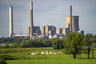 The Voerde coal-fired power plant, which has been decommissioned since 2017, Rhine meadows,