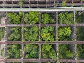 Duisburg-Nord Landscape Park, former Thyssen steelworks, closed in 1985, since then trees have been