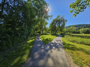 Fork in the road surrounded by meadow and trees under a clear blue sky, summer, Bürgstadt,