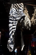 Zebra skin in the medina, souk, market, trade, animal skin, hunter, hunting, law, souvenir, offer,