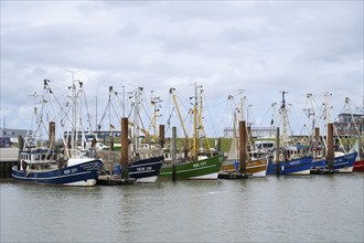 Fishing boats in the fishing harbour, Norddeich, East Frisia, Lower Saxony, Germany, Europe