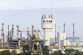 BASF, Lugwigshafen am Rhein, industrial area, Mannheim, Baden-Württemberg, Germany, Europe