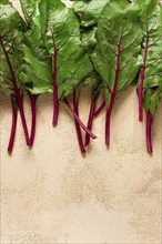 Fresh, green leaves, stem with beet leaves, on the table, top view, rustic, no people