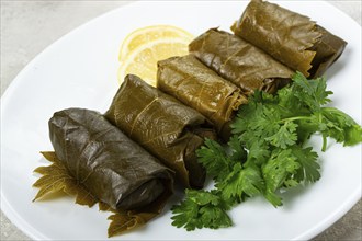 Dolma, minced meat with rice, in grape leaves, rolls with minced meat, on a white plate, top view,