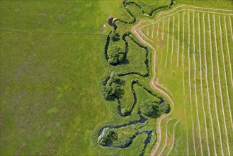 Aerial view over meander belt in meandering Klingavälsån river, tributary to Kävlingeån in the