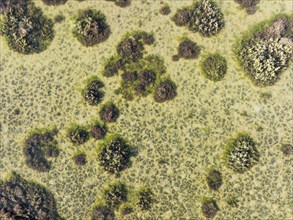 Marshland at low tide. Nature Reserve La Breña y Marismas del Barbate. Aerial view. Drone shot.