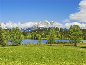 Wilder Kaiser with Schwarzsee, Moorsee, trees, blue sky Kitzbühel, Tyrol, Austria, Europe