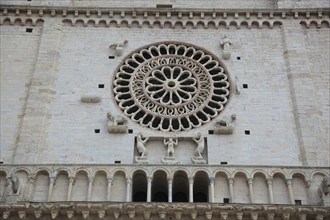 Detail, rose window, Cattedrale di San Rufino church in Assisi, Umbria, Italy, Europe