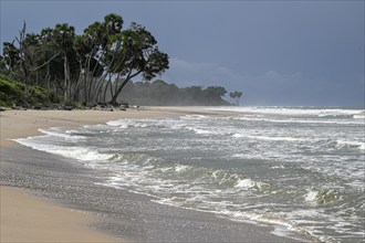 Beach, Petit Loango, Loango National Park, Parc National de Loango, Ogooué-Maritime Province,