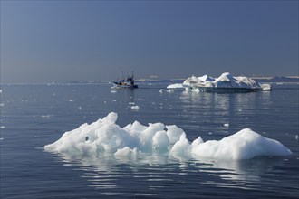 Ice floe at Ilulissat icefjord, Ilulissat, Icefjord, Disko Bay, Qaasuitsup, Greenland, Polar