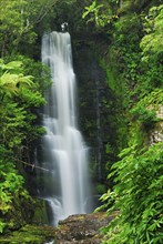 Mac Lean Falls, Catlins Forest Park, Otago, South Island New Zealand, Otago, South Island, New