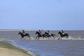 Four riders on the beach of Schillig Wangerland, Lower Saxony, Federal Republic of Germany, East