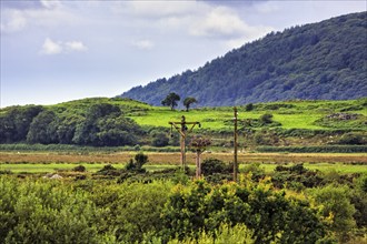 Sea Eagle Observatory at Dyfi Wildlife Centre, Dyfi UNESCO Biosphere Reserve for Biodiversity,