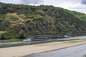 Cargo ship, tanker, on the Rhine in the Upper Middle Rhine Valley, sandbank in the Rhine, due to