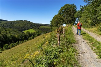 Hiking in the Sauerland, trail near Oberkirchen, district of Schmallenberg, North Rhine-Westphalia,