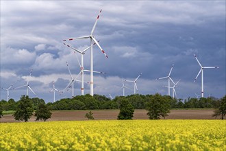 Wind farm east of Geilenkirchen, dark storm clouds, strong wind, rape field, North