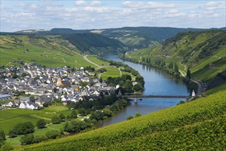 A peaceful landscape with a village by the river, surrounded by vineyards and green hills under a