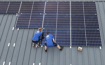 Installation of solar modules on the roof of a barn on a farm, over 240 photovoltaic modules are