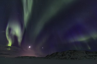 Green northern lights, aurora borealis over snowy mountains, volcanic, winter, moon, Laugarvatn,