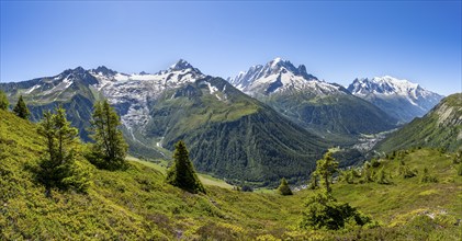 Mountain panorama with glaciated mountain peaks, Aiguille de Chardonnet with Glacier du Tour,